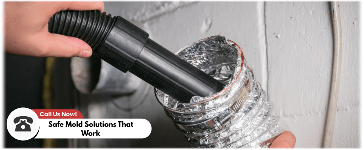 Air Duct Mold Removal in Los Angeles CA