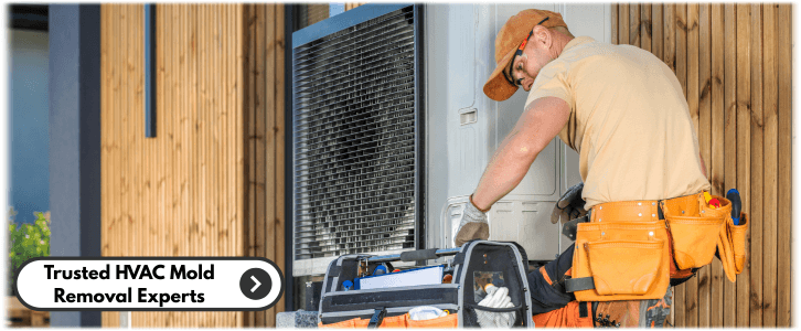 HVAC Mold Removal Los Angeles CA